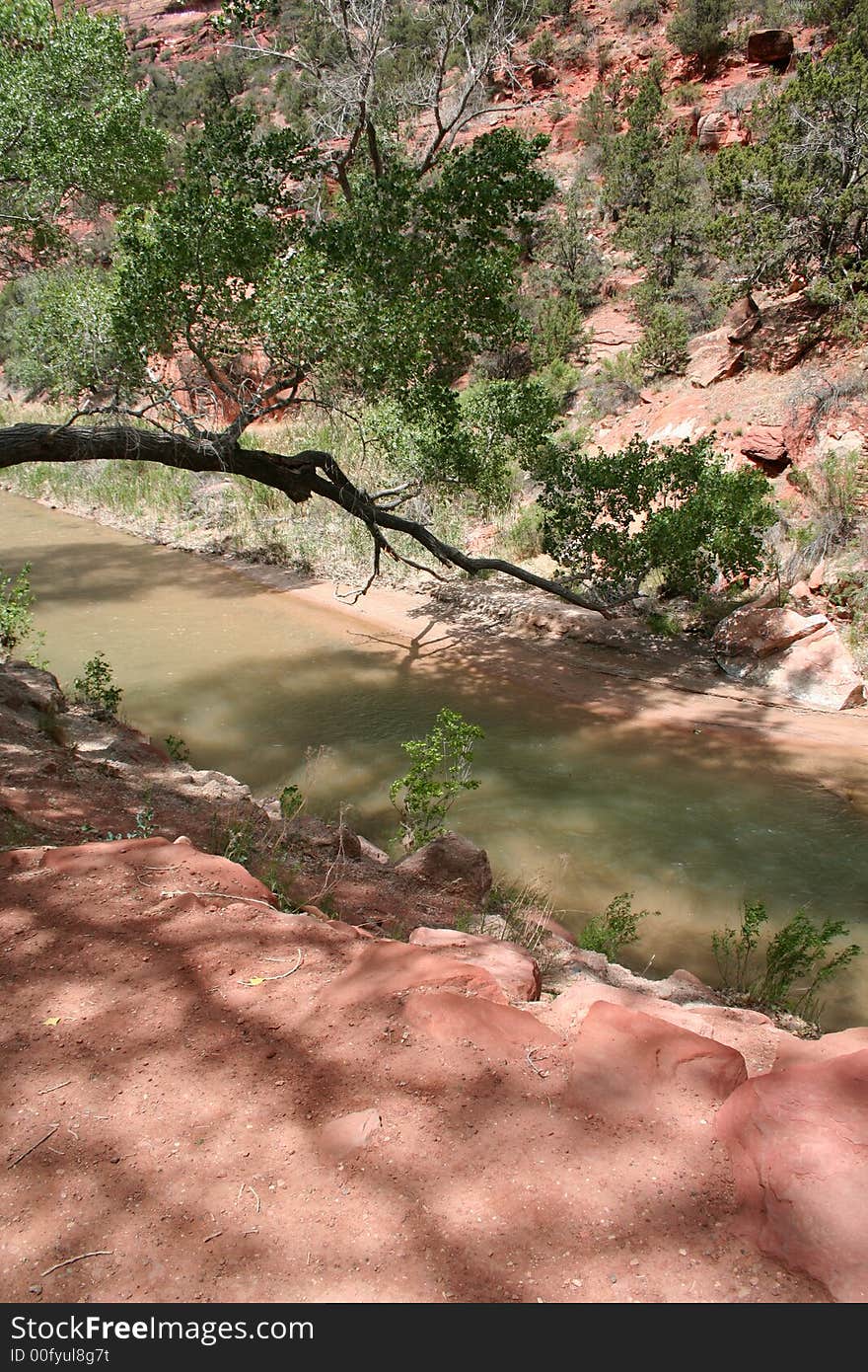 Looking down into Virgin River in Zion Park.
Red rock and green trees, vertical orientation. Looking down into Virgin River in Zion Park.
Red rock and green trees, vertical orientation.