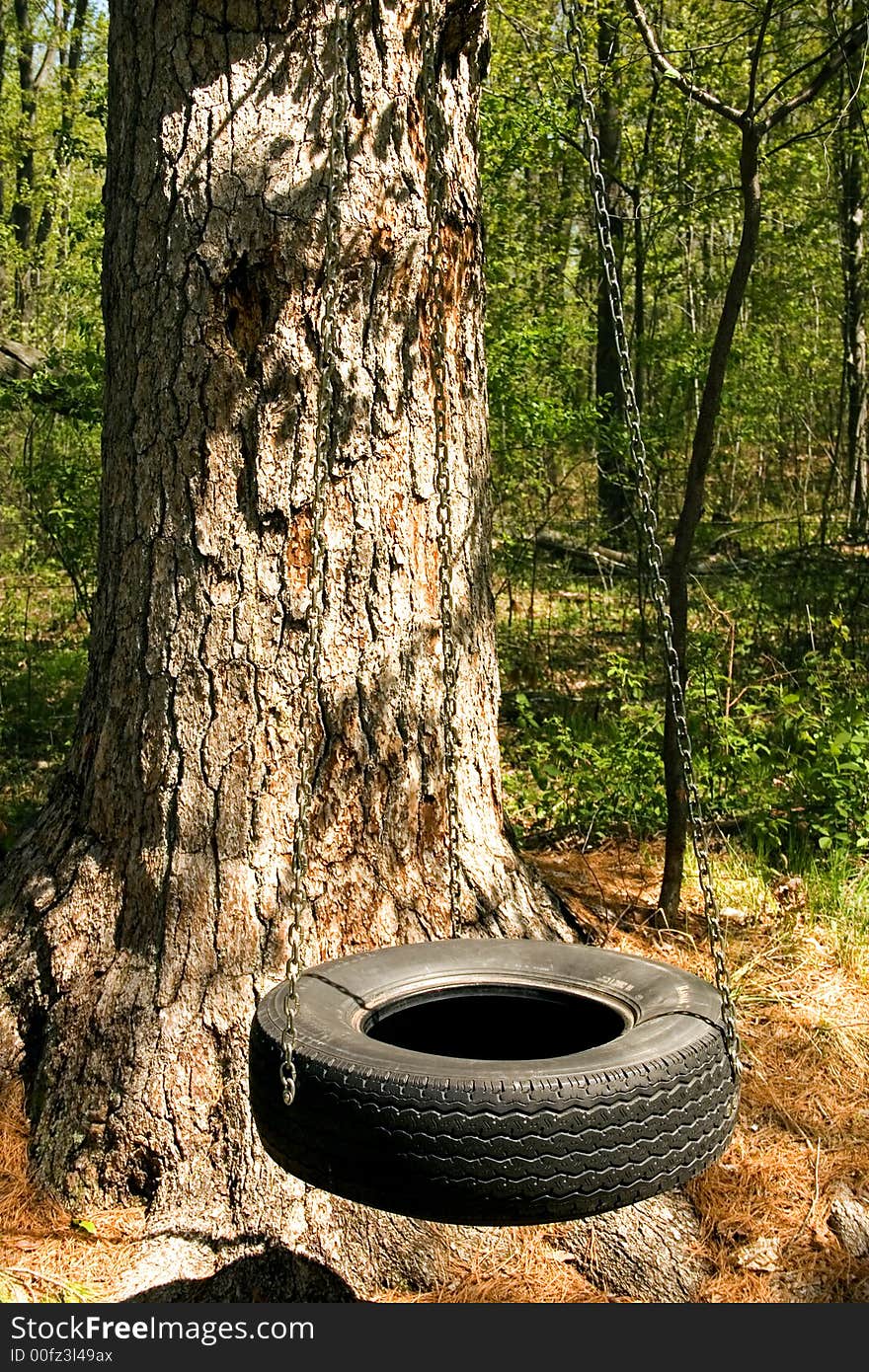 A tire swing out in the woods