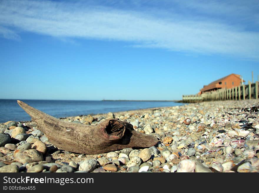 Driftwood on the beach in montauk. Driftwood on the beach in montauk