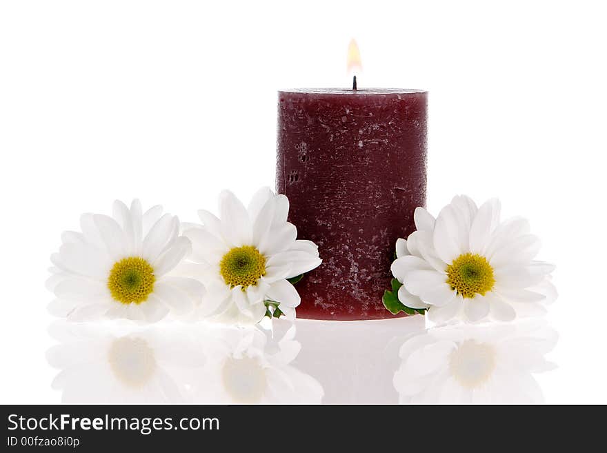 Daisies and a candle isolated. Daisies and a candle isolated