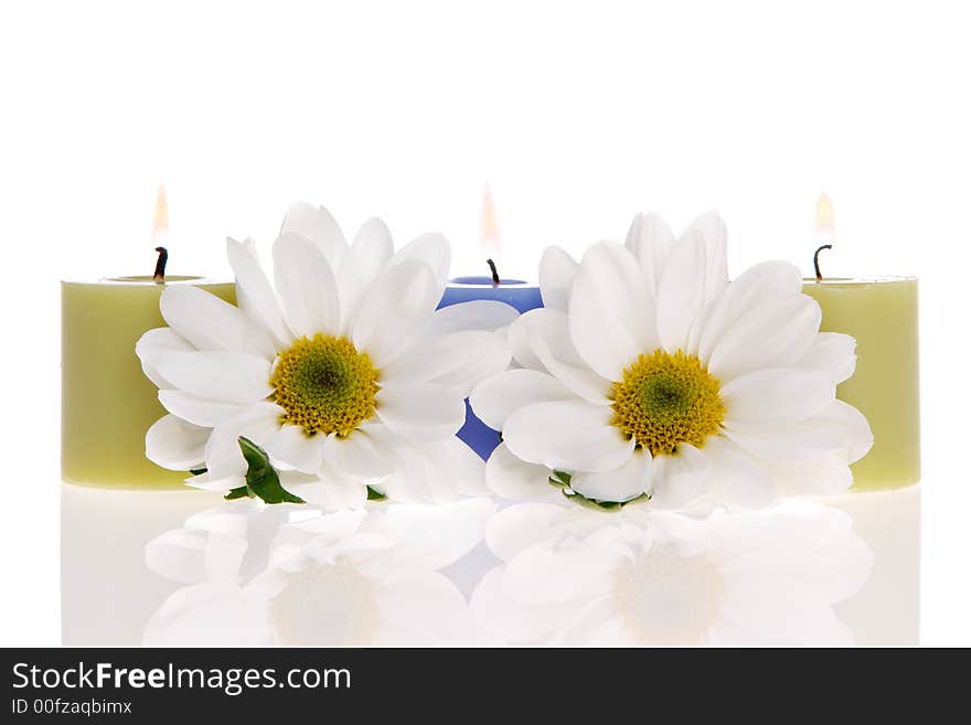 Daisies and a candles isolated. Daisies and a candles isolated