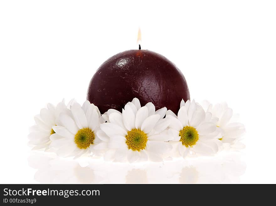 Daisies and a candle isolated. Daisies and a candle isolated