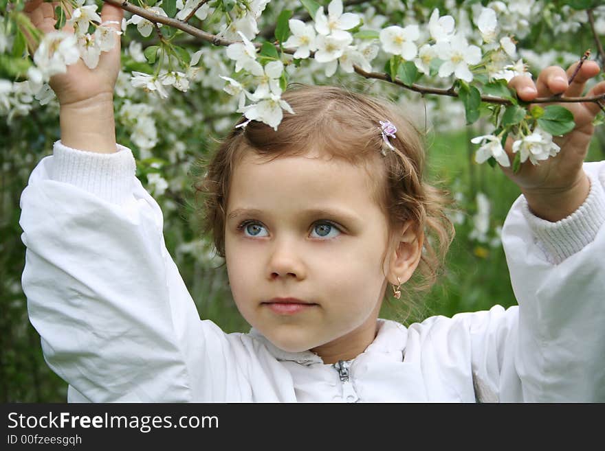 Little girl and a blossoming c