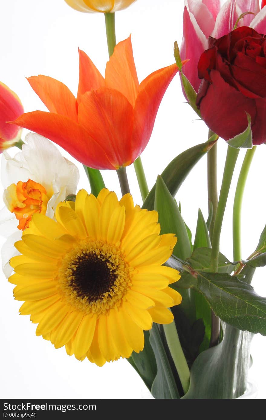 Bunch of spring flowers in the white background