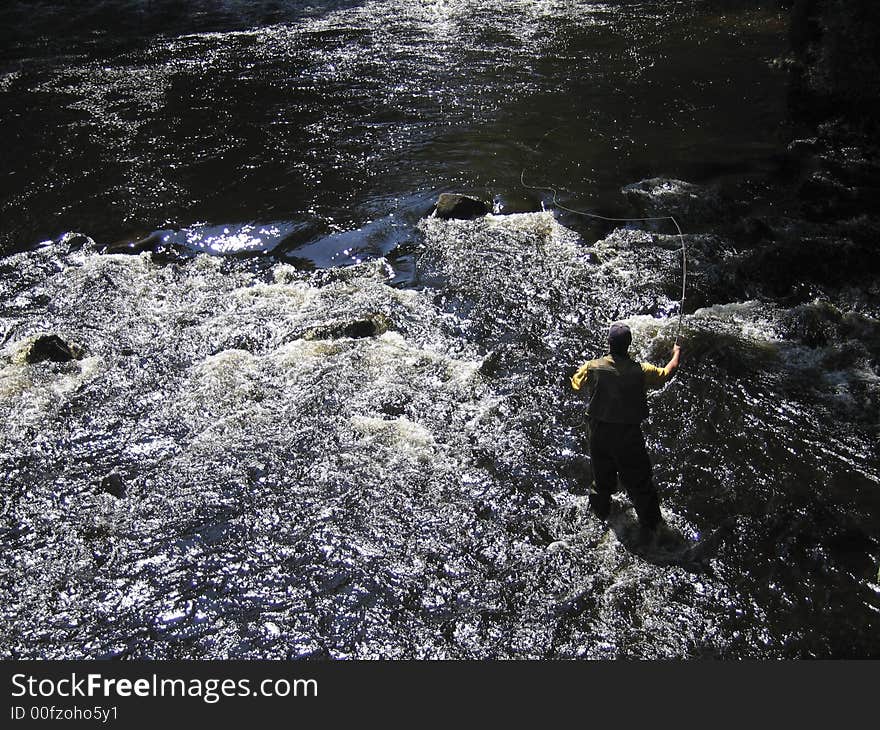 The Fly Fisherman