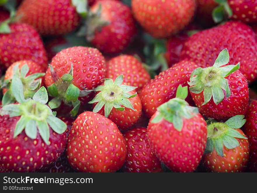 Macro of a fruit strawberry. Macro of a fruit strawberry