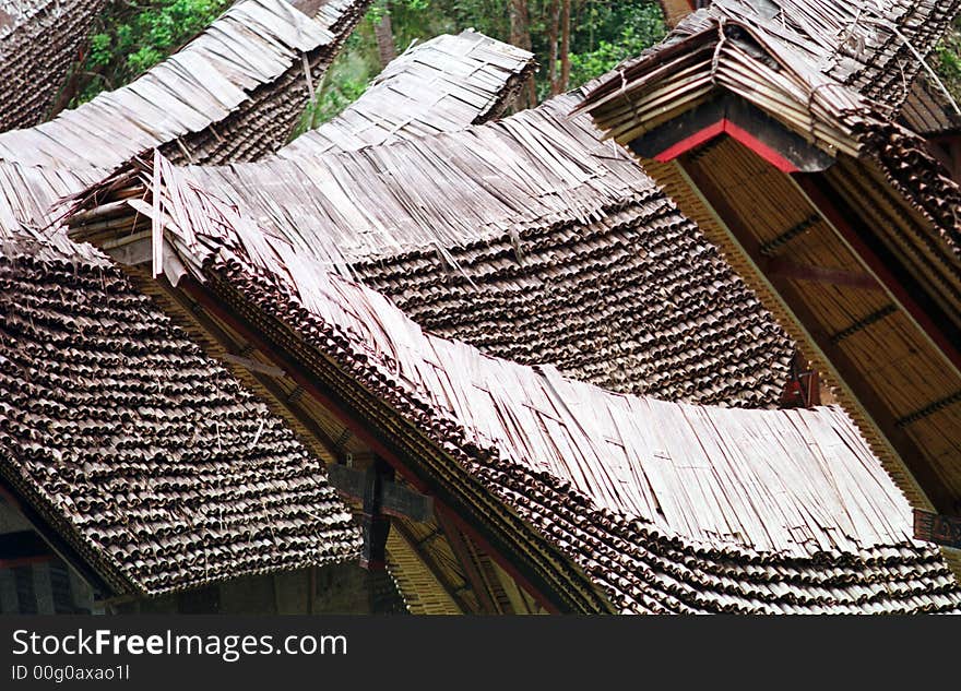 The roof of toraja s house