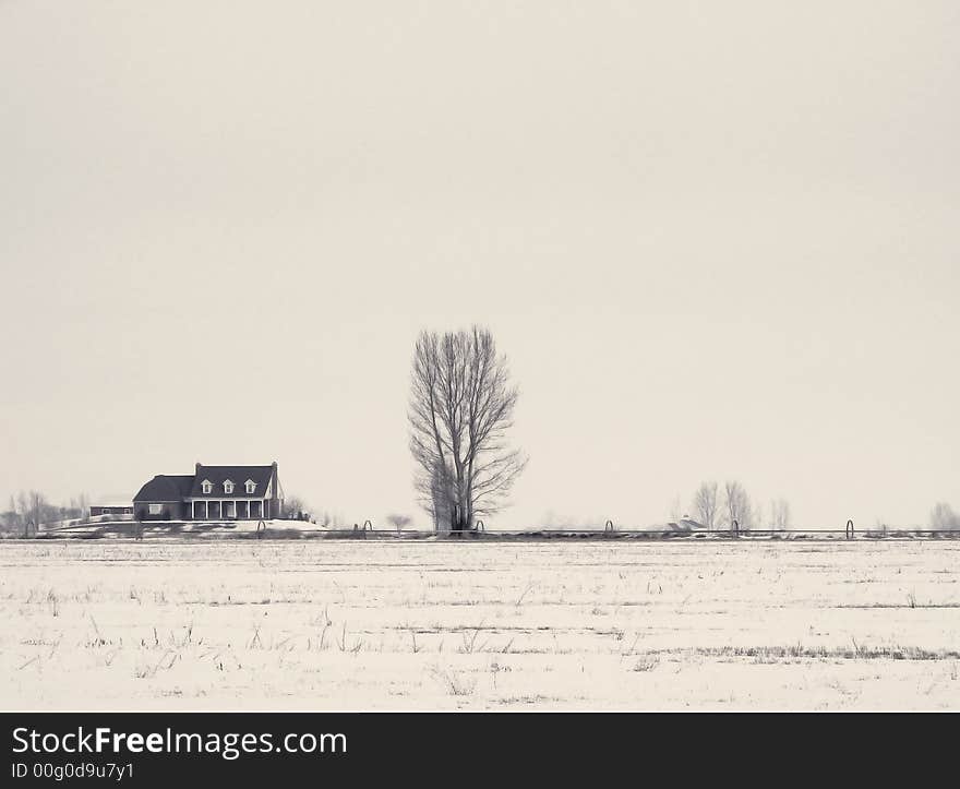 House on the horizon