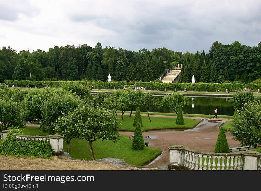 Green garden with trees and pond. Green garden with trees and pond