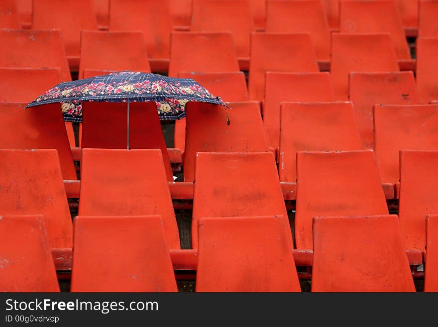 Umbrella