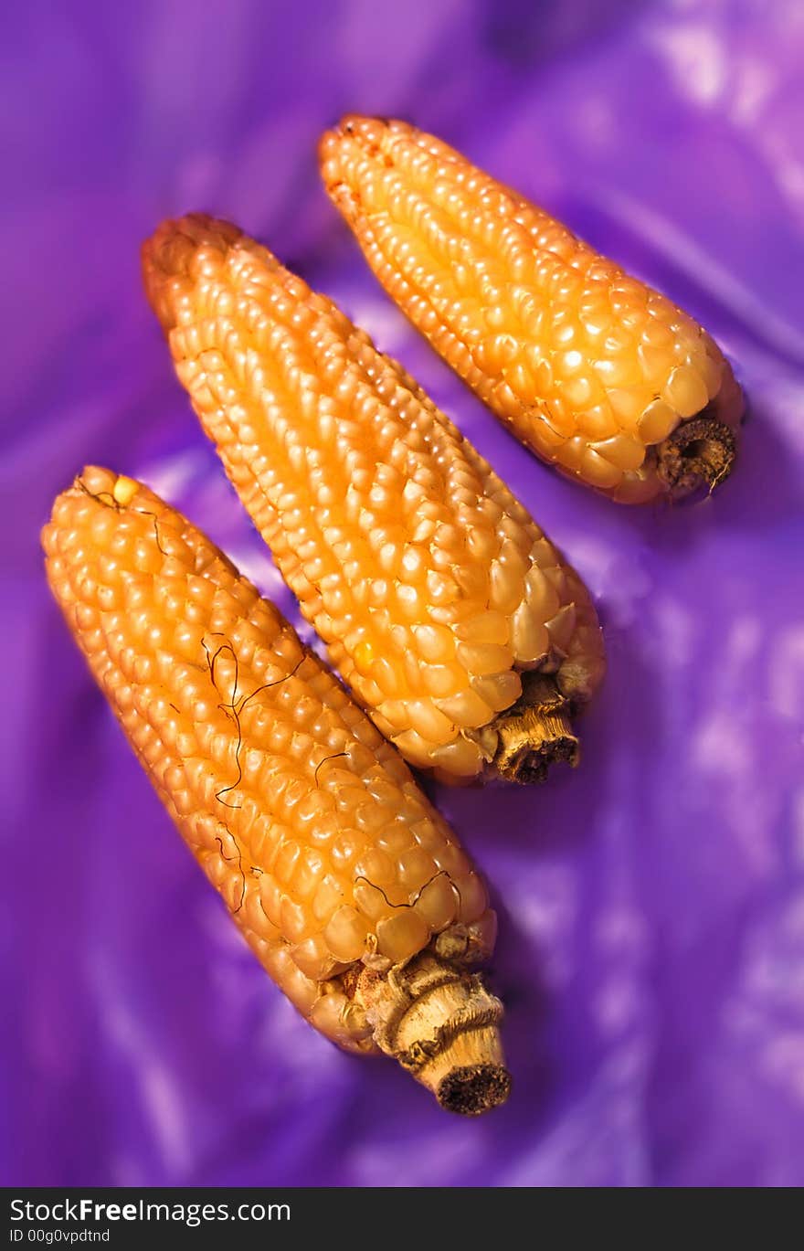 Three ears of corn lay on violet background. Three ears of corn lay on violet background