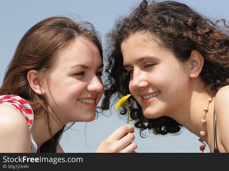 Two young beautiful girls face to face with dandelion. Two young beautiful girls face to face with dandelion