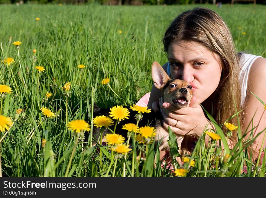 Girl kisses her small doggy on glade with dandelions. Girl kisses her small doggy on glade with dandelions