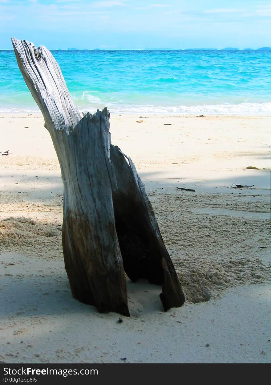 Deadwood at the beach in Laem Ton Sai, Koh Phi Phi Don, Thailand. The peaceful Indian ocean bathes the shore. Deadwood at the beach in Laem Ton Sai, Koh Phi Phi Don, Thailand. The peaceful Indian ocean bathes the shore.