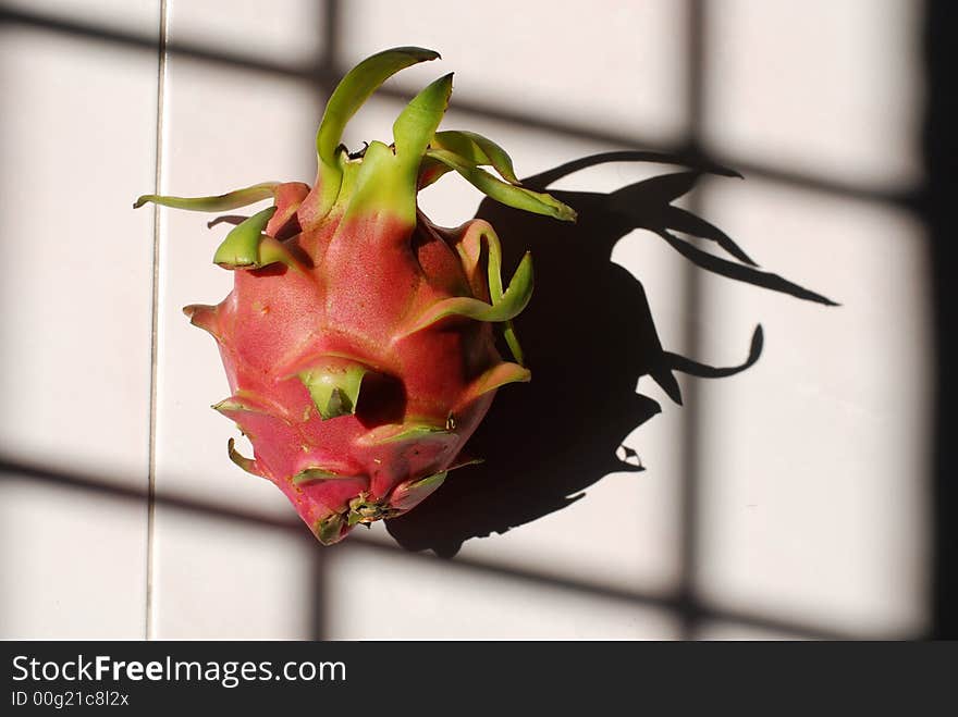 Dragon Fruit