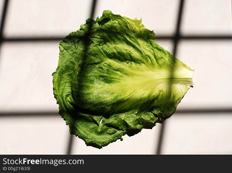 Green cabbage on the floor. Green cabbage on the floor