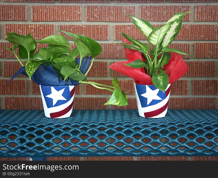 Green plant in an American flag painted pot ready to be gifted for a holiday