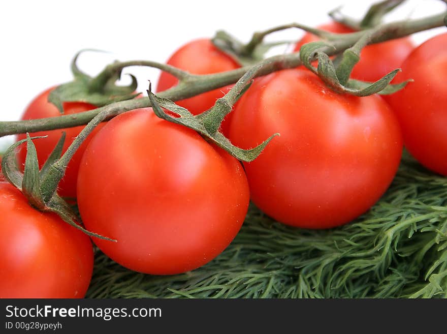 The Branch Of Cherry-tomatoes