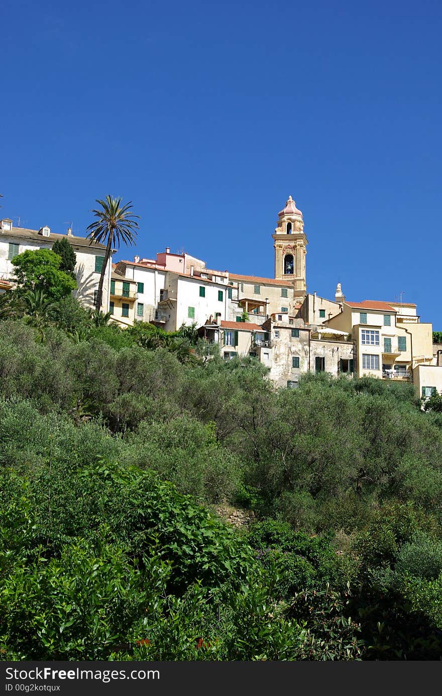 Cervo