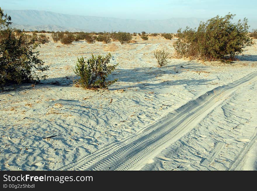 Desert In Palm Springs