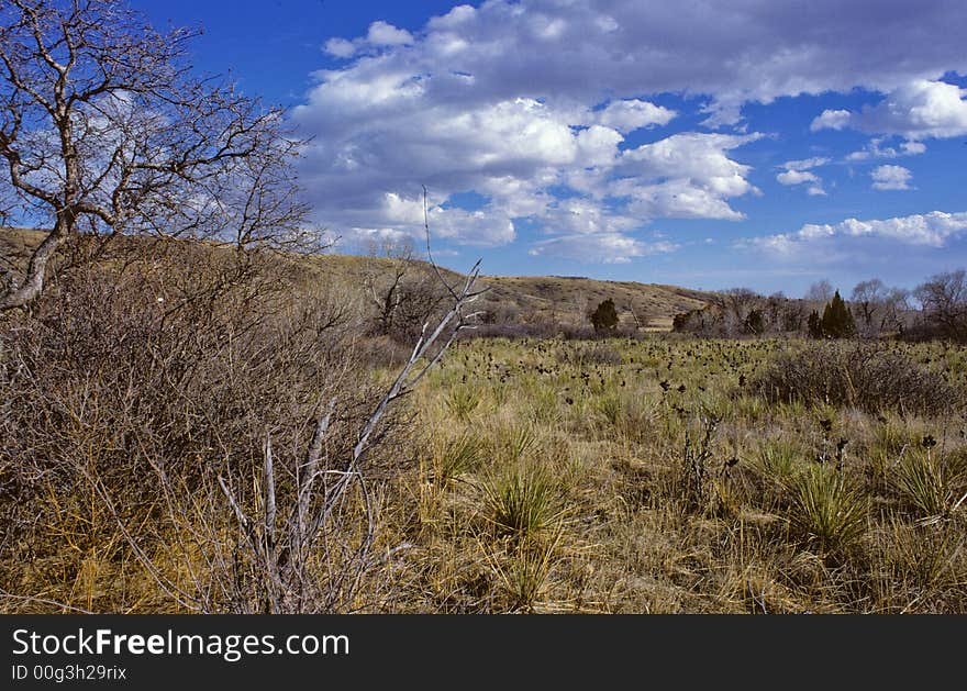 Landscape from colorado where the clouds and sky are still great. Landscape from colorado where the clouds and sky are still great