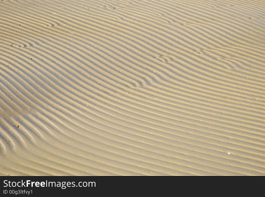 Dunes on a beach in Jürmala