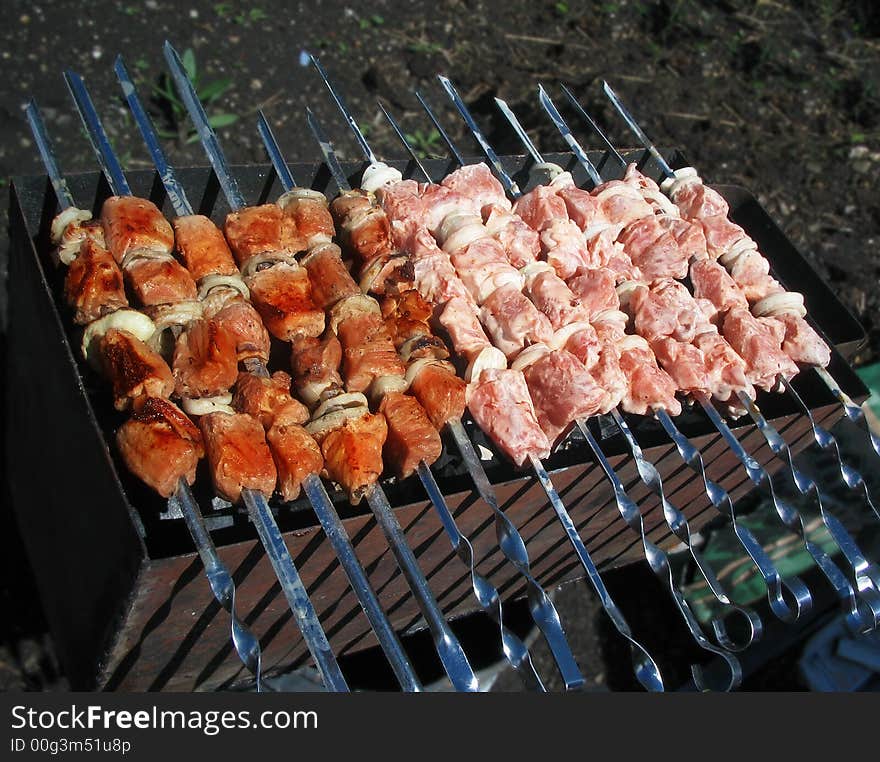 Shish kebab on household picnic