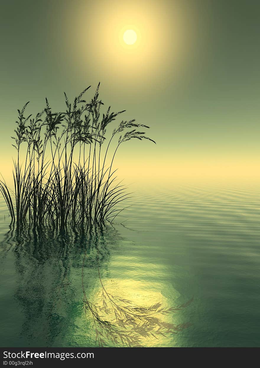 Water plants on a sea sunset  background  -  3D scene. Water plants on a sea sunset  background  -  3D scene.