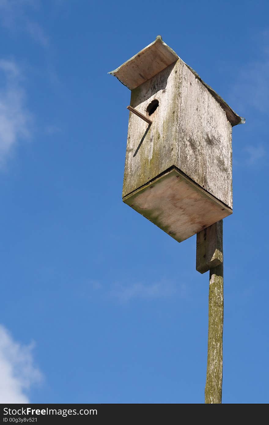 Starling house