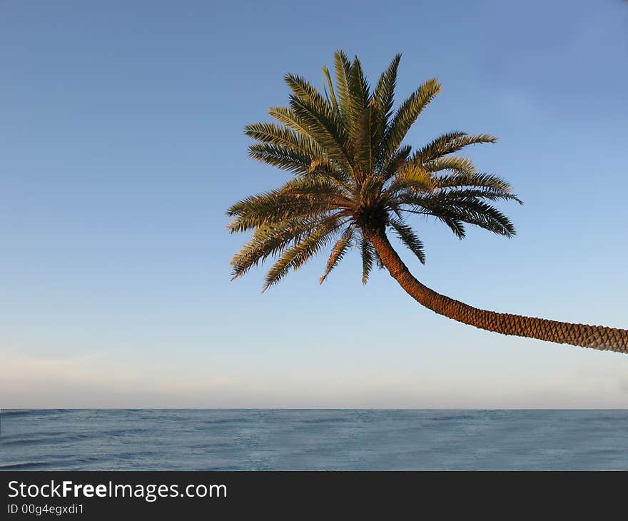 An icon photo of the dream of a tropical beach. An icon photo of the dream of a tropical beach