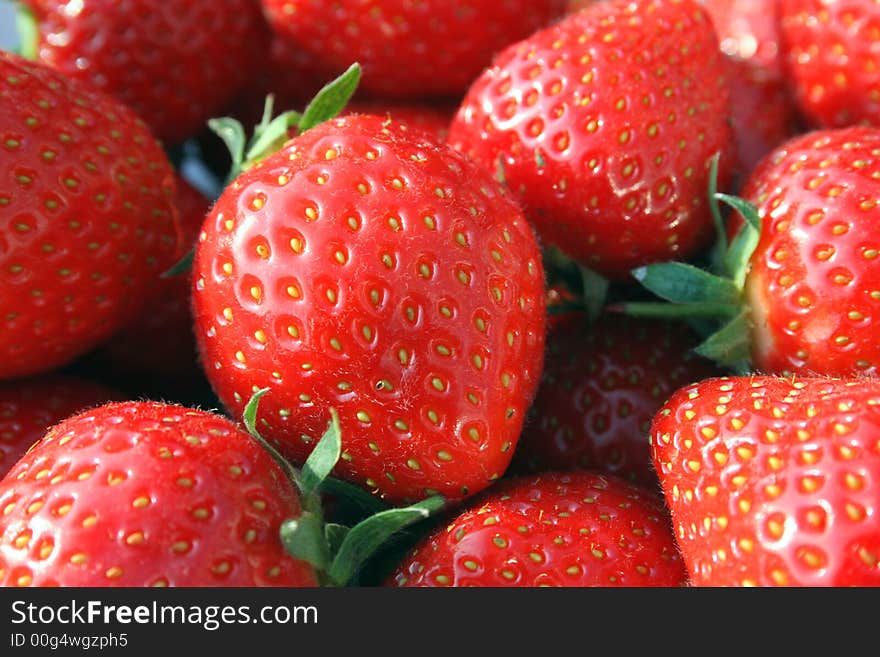 Fresh English strawberries grown in Hereford. Fresh English strawberries grown in Hereford