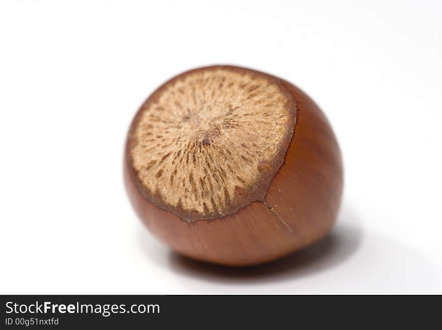 Hazelnut isolated on white close-up