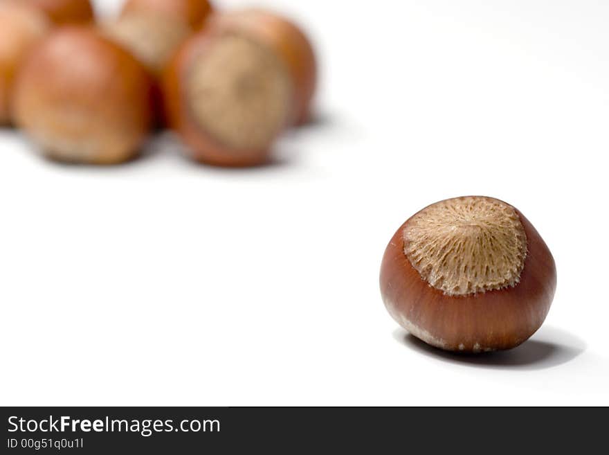 Hazelnuts Isolated