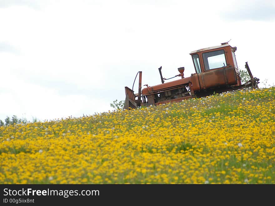 Flowers and a buldoser