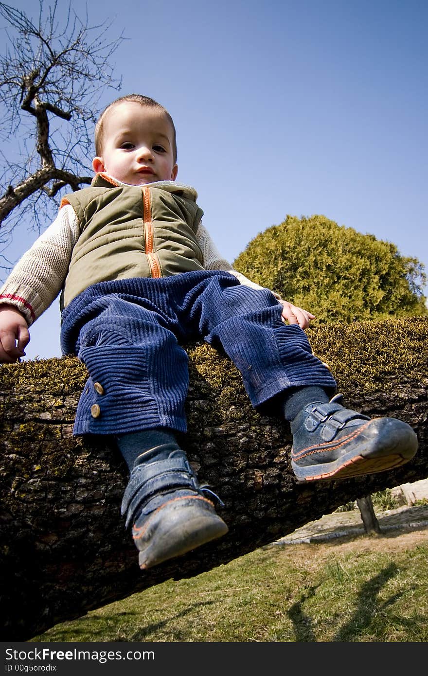 Child sitting on tree trunk, portrait, low angle view