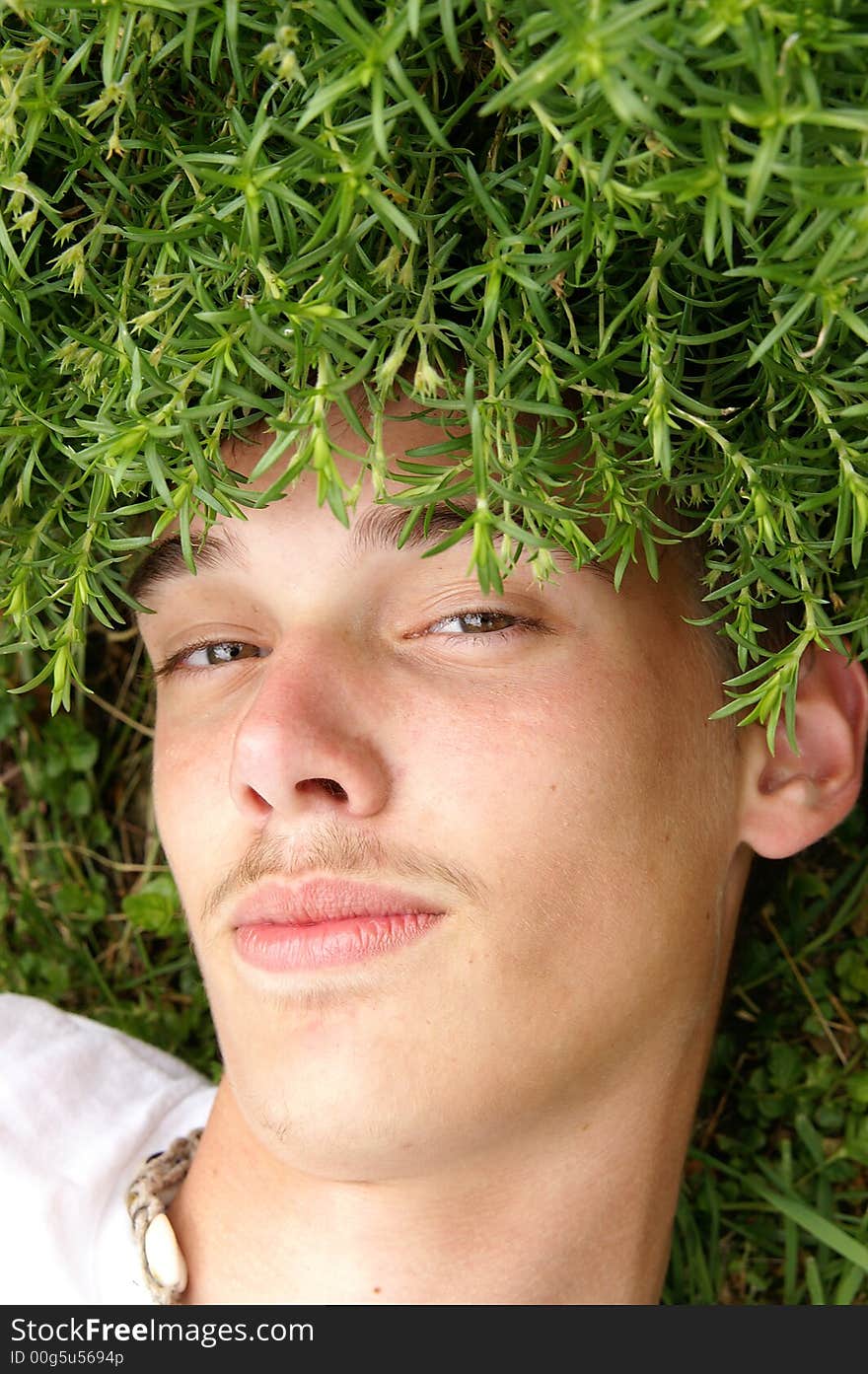 A humorous photo of a teenage boy lying under a green grassy plant. A humorous photo of a teenage boy lying under a green grassy plant