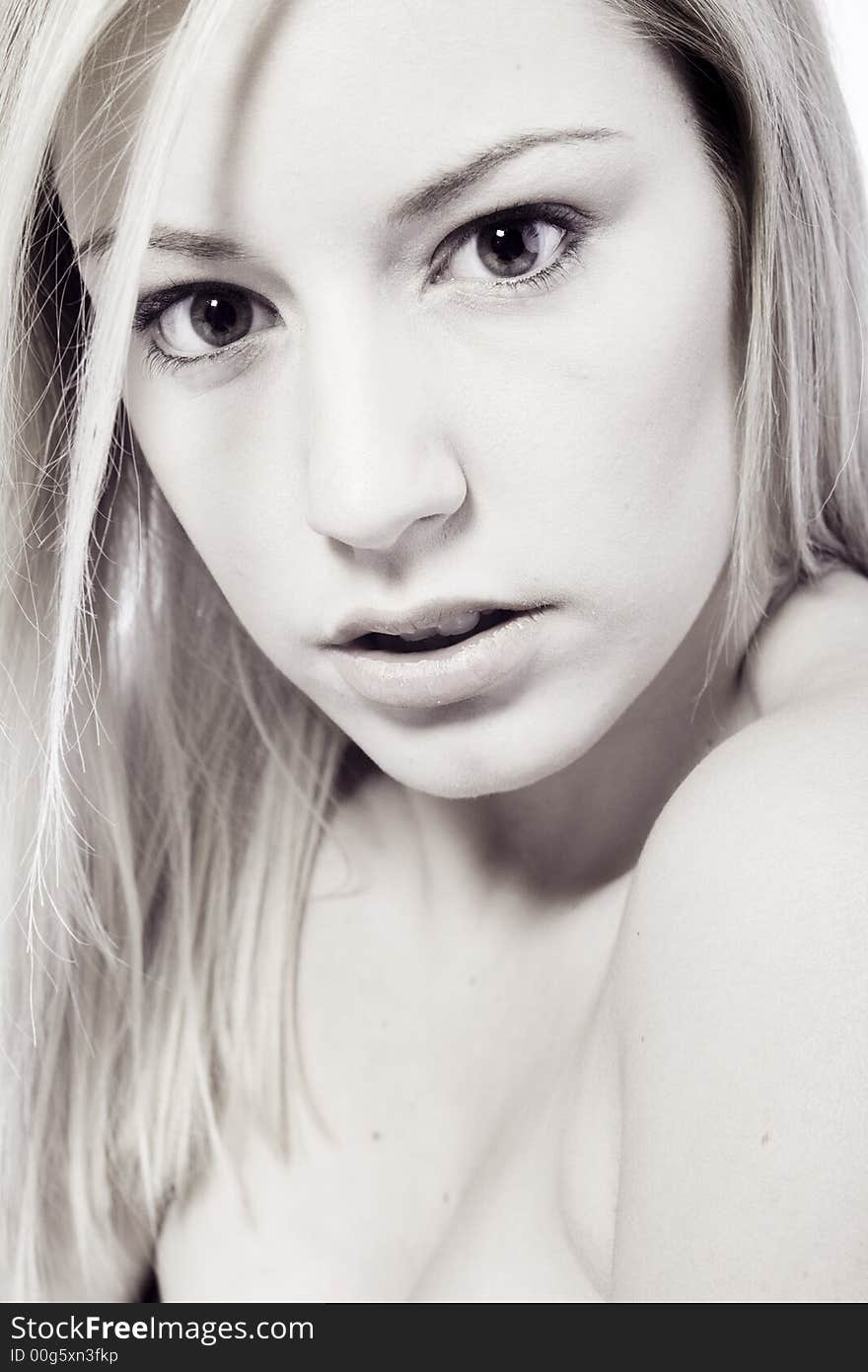 A beauty portrait taken from a beauty woman model in the studio. A beauty portrait taken from a beauty woman model in the studio