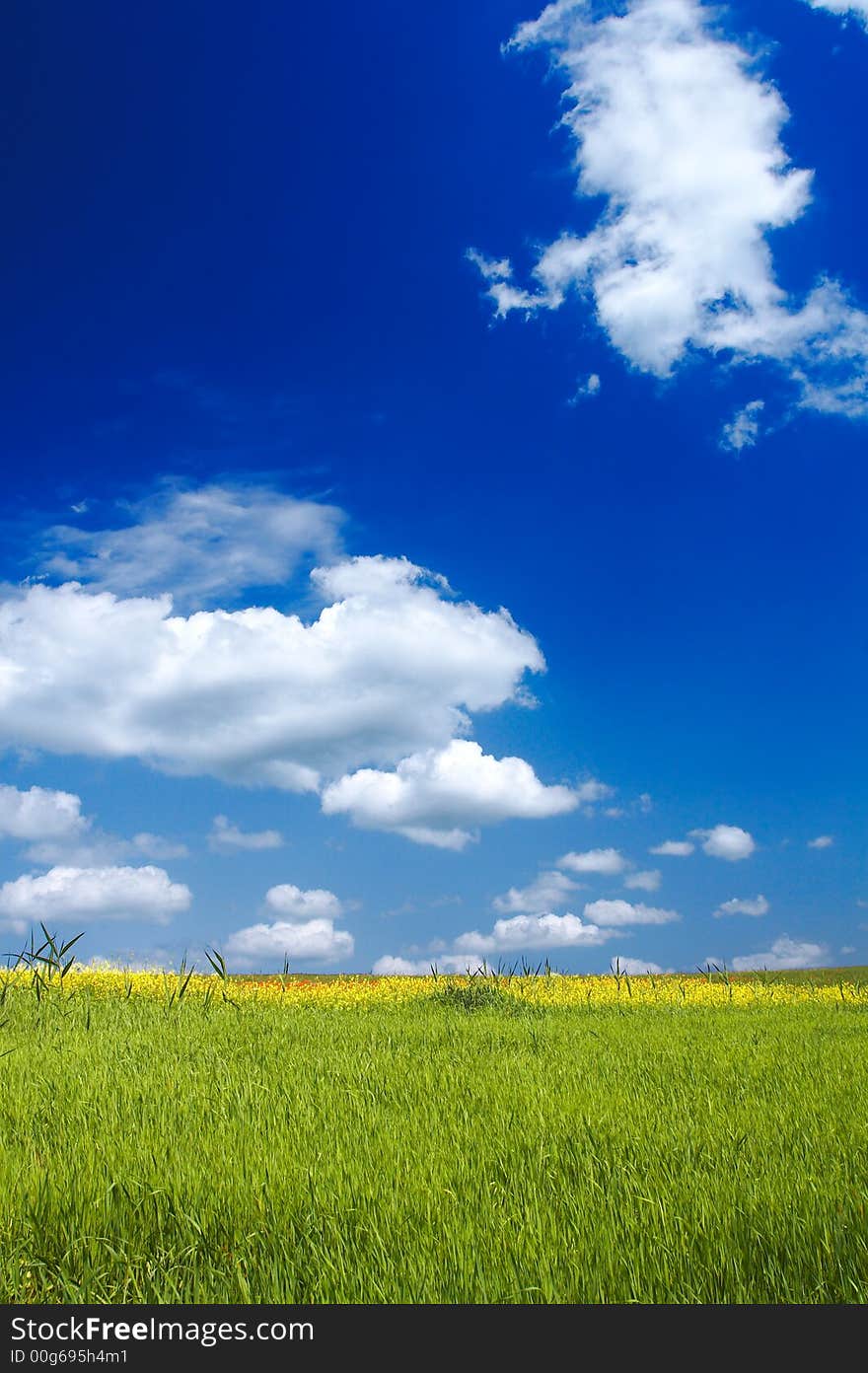 Beautiful landscape - green grass - great blue sky with fluffy clouds. Beautiful landscape - green grass - great blue sky with fluffy clouds