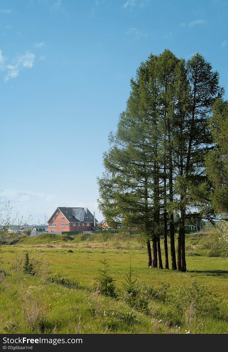 Spring landscape with the private house and pines on a background of the sky. Spring landscape with the private house and pines on a background of the sky.