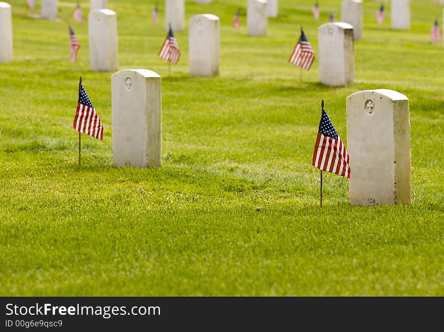 unmarked grave stones in a memorial cemetery patriotically decorated with American flags. unmarked grave stones in a memorial cemetery patriotically decorated with American flags