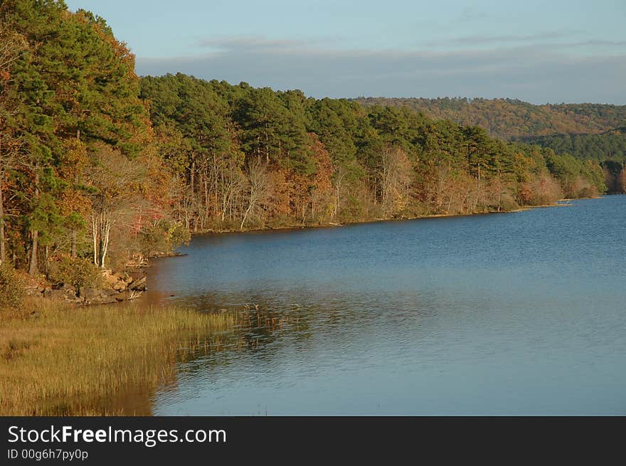 This is a lake shore in Arkasnas