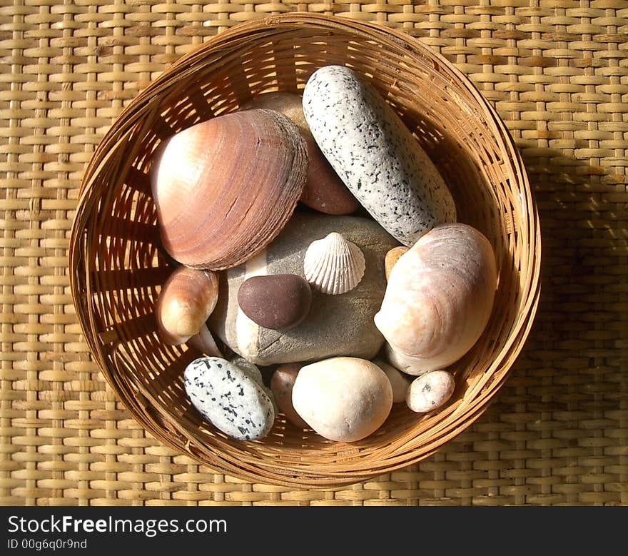 Some pebbles and shells picked up on the beach