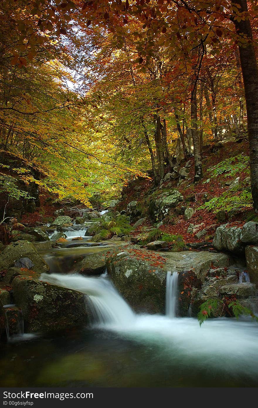 Little river in Montseny natural park