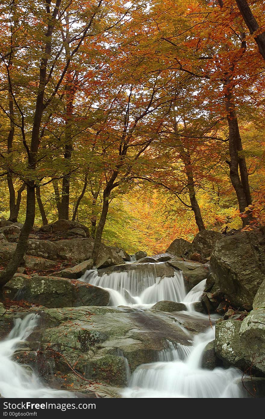 Little river in Montseny natural park. Little river in Montseny natural park