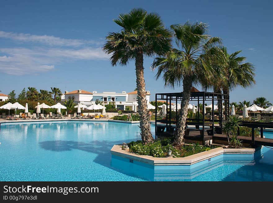 Palm tree in swimming pool. Palm tree in swimming pool