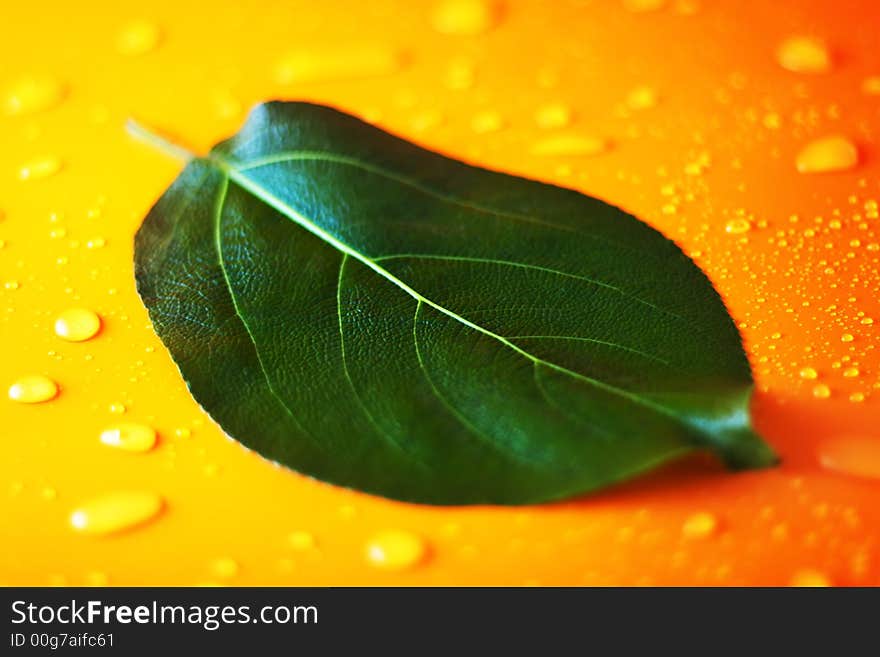 Green leaf on a orange background with fresh water droplets. Green leaf on a orange background with fresh water droplets