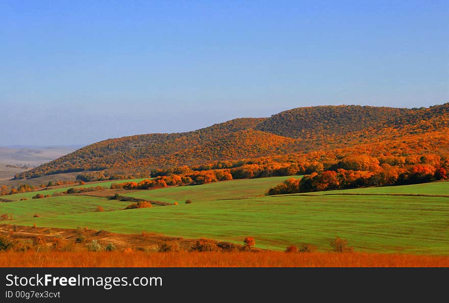 A big colored field at the country