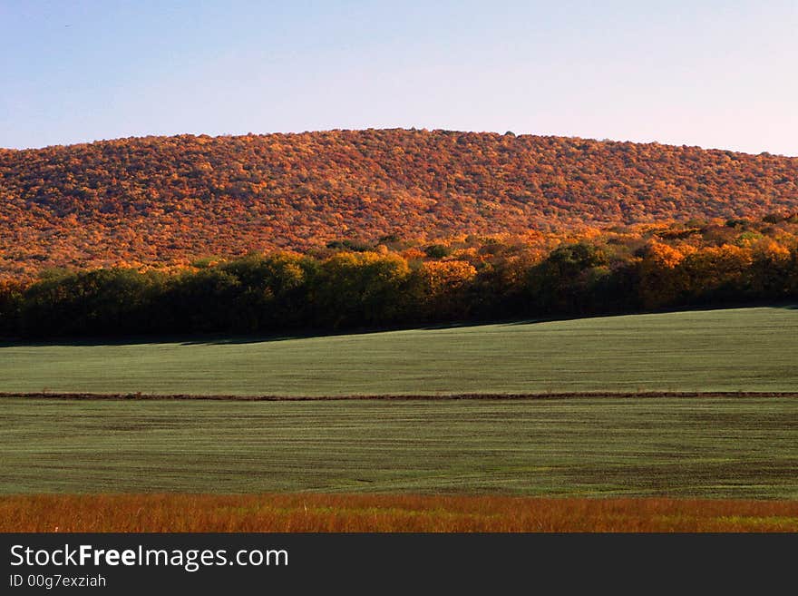 A big colored field at the country