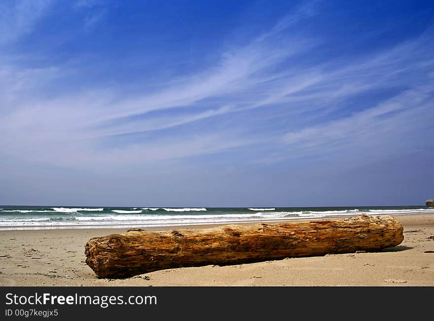 A photo of a big blue sky in the beach with a trunk. A photo of a big blue sky in the beach with a trunk