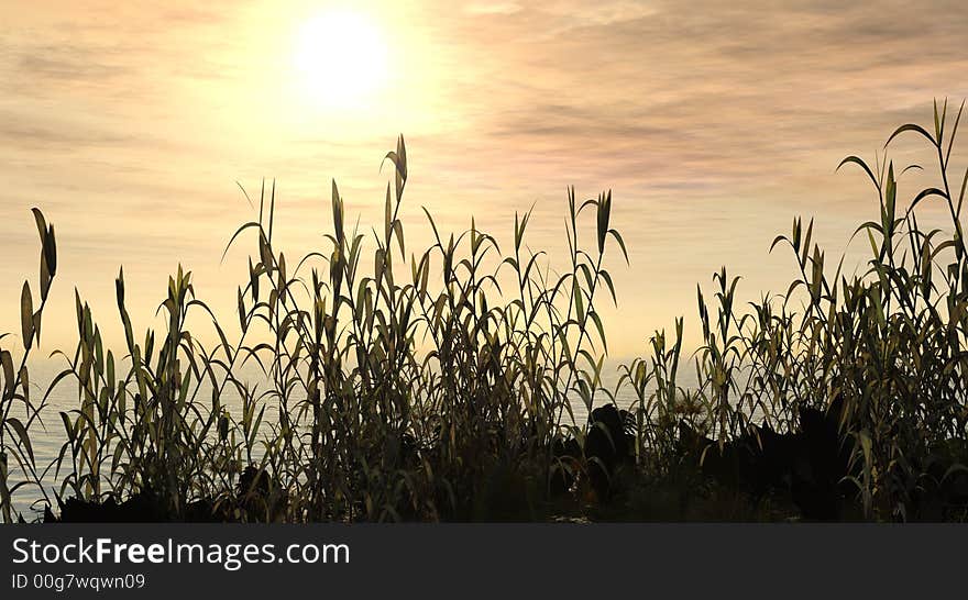 Water plants on a sea sunset  background  -  3D scene. Water plants on a sea sunset  background  -  3D scene.